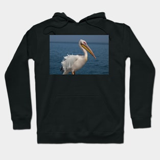 Great white pelican Hoodie